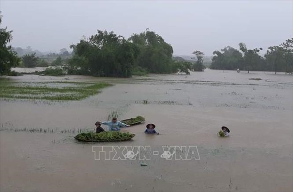 Dồn lực khắc phục hậu quả cơn bão số 3 Yagi, ổn định đời sống nhân dân vùng ảnh hưởng